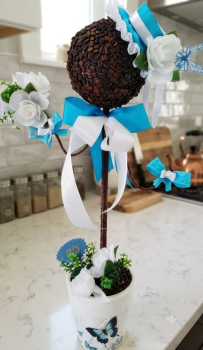 Kaffeebohnen Baum für Kaffee Liebhaber